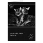 I Miss You Gray Tabby Cats cards