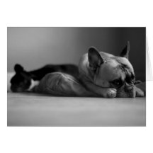 I miss you greeting card