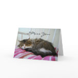 I Miss You, Maine Coon Cat Card