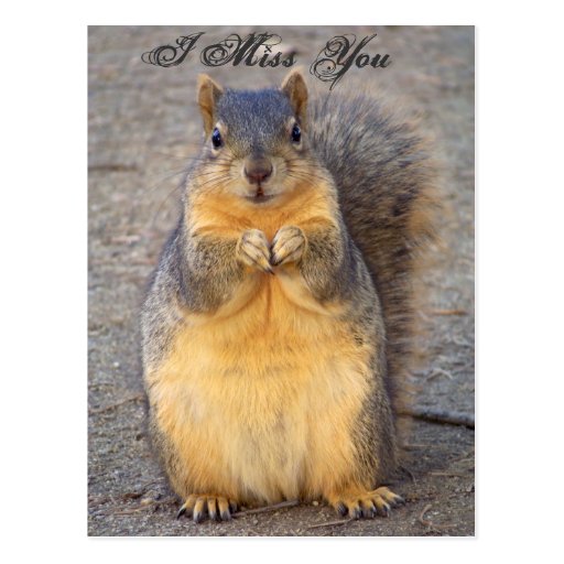 I Miss You_ Postcard_by Elenne Boothe