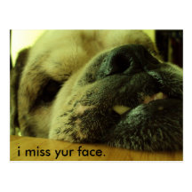 i miss yur face. post cards