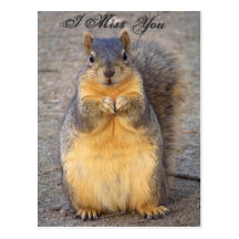 I Mlle You_ Postcard_by Elenne Boothe Carte Postale