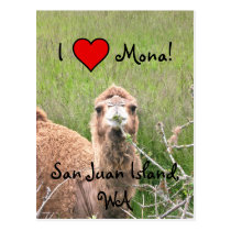 I ♥ Mona! postcards