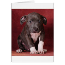 I need a loving home greeting card