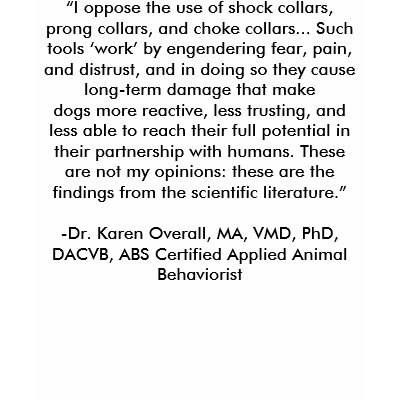 “I oppose the use of shock collars, prong colla... Shirt by DogsThatNeedTherapy