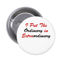 I Put The Ordinary In Extraordinary Pinback Buttons