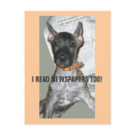 I READ NEWSPAPERS TOO! postcards