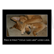 I really couldn't care less even if I tried Greeting Card