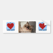 I REALLY LOVE CATS BUMPER STICKER