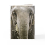 "I remember" greeting card