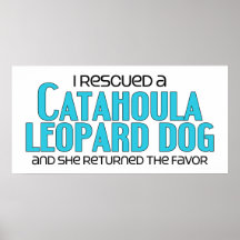 I Rescued a Catahoula Leopard Dog (Female Dog) Poster