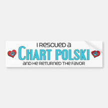 I Rescued a Chart Polski (Male Dog) Bumper Sticker