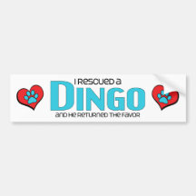 I Rescued a Dingo (Male Dog) Bumper Stickers
