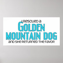 I Rescued a Golden Mountain Dog (Female Dog) Posters
