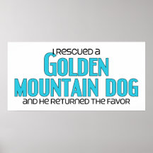 I Rescued a Golden Mountain Dog (Male Dog) Poster