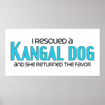 I Rescued a Kangal Dog (Female Dog) Poster