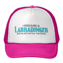 I Rescued a Labradinger (Male) Dog Adoption Design Hat