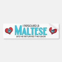 I Rescued a Maltese (Male Dog) Bumper Stickers