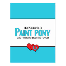 I Rescued a Paint Pony (Male Pony) Post Card