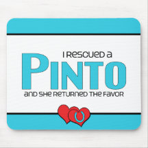 I Rescued a Pinto (Female Horse) Mouse Pads