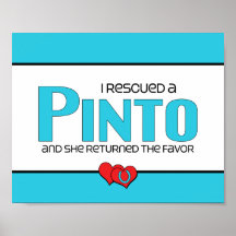 I Rescued a Pinto (Female Horse) Posters