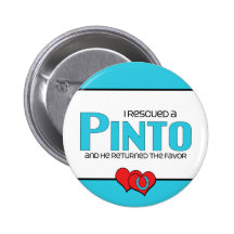 I Rescued a Pinto (Male Horse)