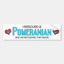 I Rescued a Pomeranian (Male Dog) Bumper Sticker