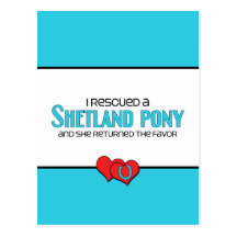 I Rescued a Shetland Pony (Female Pony) Postcard