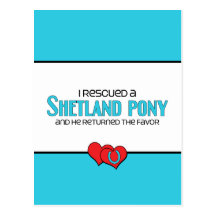 I Rescued a Shetland Pony (Male Pony) Postcards