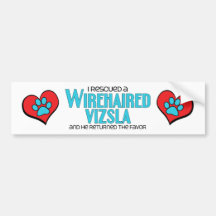 I Rescued a Wirehaired Vizsla (Male Dog) Bumper Stickers