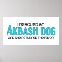 I Rescued an Akbash Dog (Female Dog) Poster