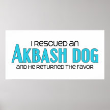 I Rescued an Akbash Dog (Male Dog) Posters