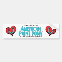 I Rescued an American Paint Pony (Male Pony) Bumper Stickers