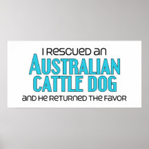 I Rescued an Australian Cattle Dog (Male Dog) Posters