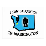 I Saw Sasquatch In Washington Postcards