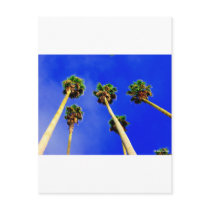 I see blue skies ahead....... post cards