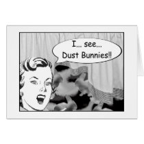 I See Dust Bunnies