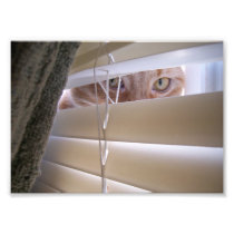 "I See What You Did There" LOLcat Photo Art