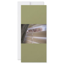 "I See What You Did There" LOLcat Full Color Rack Card