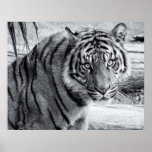 I See You Poster