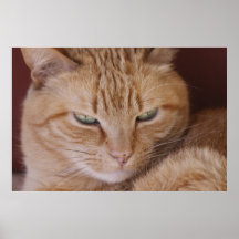 I see you!! poster