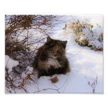 I still see you 10x8 Photographic Print