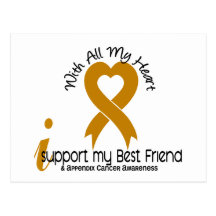 I Support My Best Friend Appendix Cancer Postcards