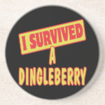 I SURVIVED A DINGLEBERRY COASTER