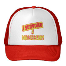 I SURVIVED A DINGLEBERRY HAT