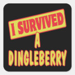 I SURVIVED A DINGLEBERRY SQUARE STICKERS