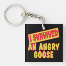 I SURVIVED AN ANGRY GOOSE