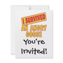 I SURVIVED AN ANGRY GOOSE ANNOUNCEMENT