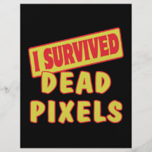 I SURVIVED DEAD PIXELS FULL COLOUR FLYER