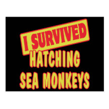 I SURVIVED HATCHING SEA MONKEYS POSTCARD